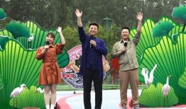 成都渣女爆料最新消息视频,揭秘情感骗局背后的真相